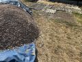 Сотрудники отдела муниципального контроля администрации Симферопольского района продолжают работу по пресечению нарушений правил благоустройства и несанкционированной торговли
