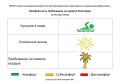 9 сентября комфортность Евпаторийского курорта, по данным ГБУЗ РК «Научно-исследовательского института детской курортологии, физиотерапии и медицинской реабилитации», составляет: