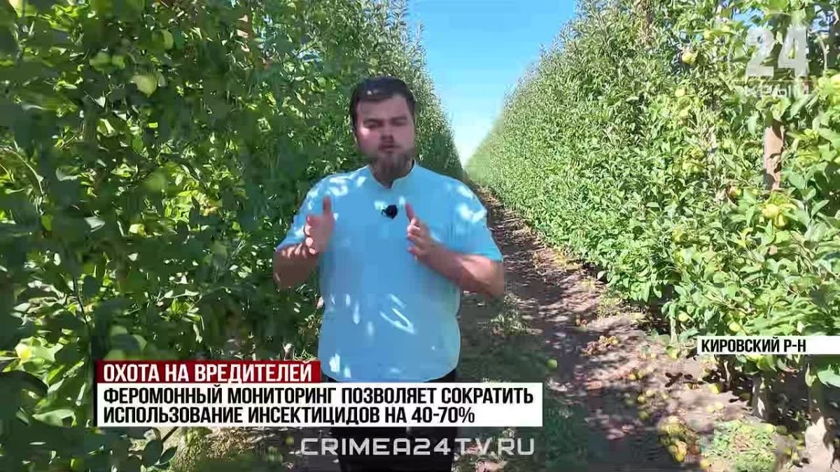 Как в Крыму борются с вредителями и опасными заболеваниями растений