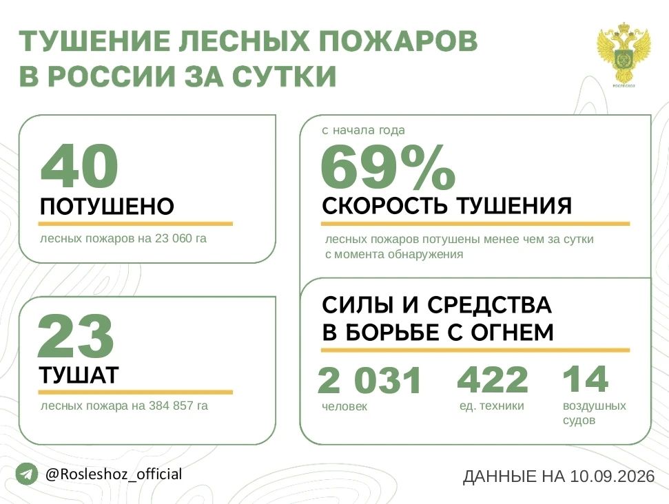 За прошедшие сутки в 16 регионах России потушили 40 лесных пожара