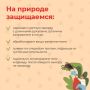 Лето закончилось, а пора активности клещей – нет!