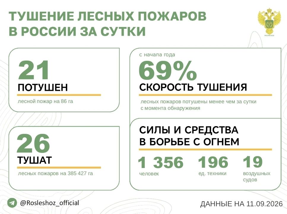 За прошедшие сутки в 12 регионах России потушили 21 лесной пожар