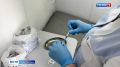 В регионы России начали поступать обновлённые вакцины от гриппа