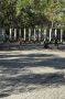В Евпатории продолжается благоустройство Мойнакского парка