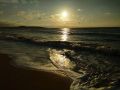 Спасти Азовское море: ученые из Крыма проведут комплексные исследования