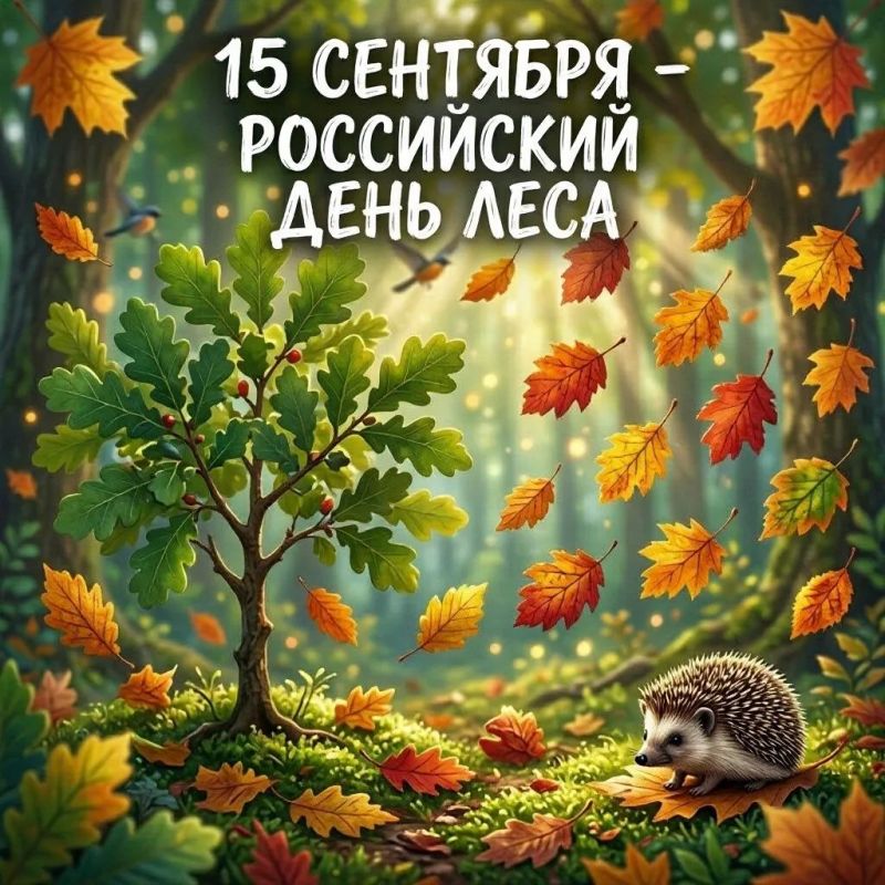 15 сентября отмечается Российский день леса