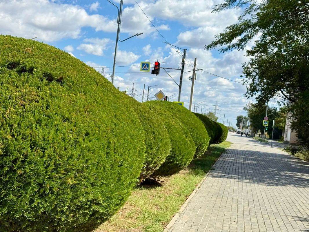 Виталий Оганесян провел качество уборки города Виталий Оганесян провел качество уборки города