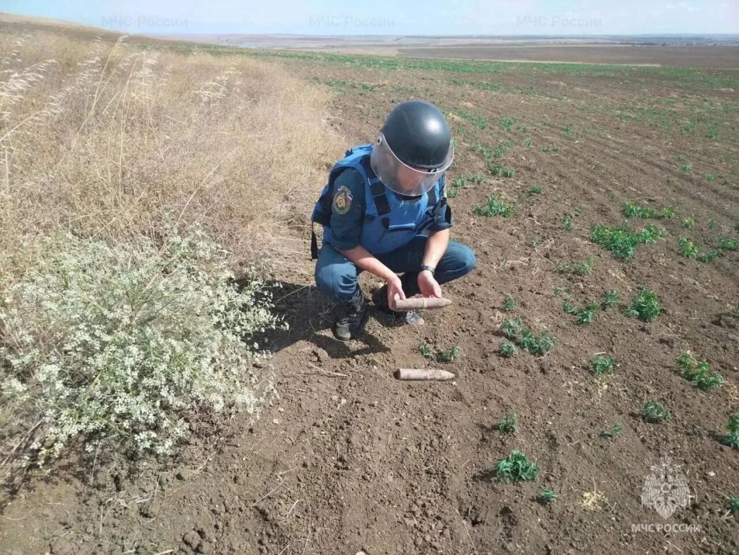 В Крыму обезвредили 46 взрывоопасных предметов времён Великой Отечественной войны В Крыму обезвредили 46 взрывоопасных предметов времён Великой Отечественной войны