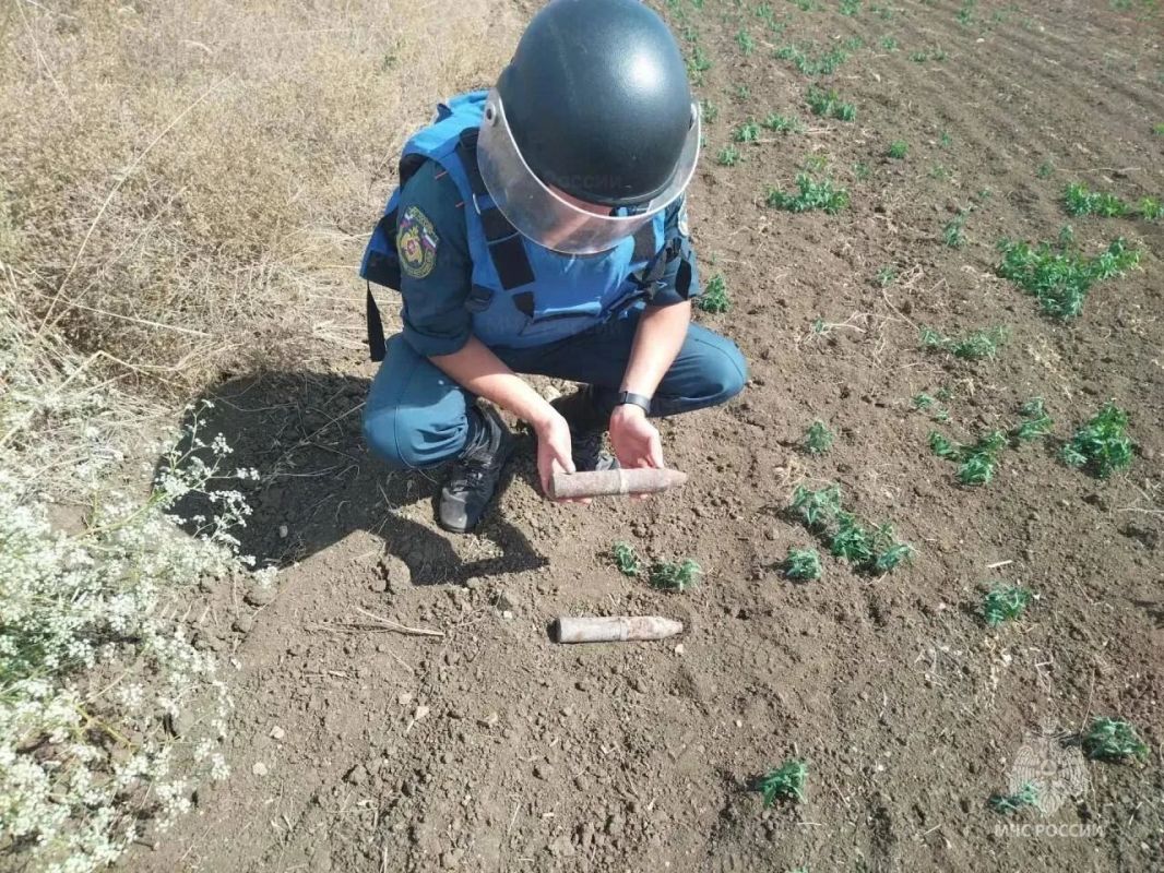 В Крыму обезвредили 46 взрывоопасных предметов времён Великой Отечественной войны В Крыму обезвредили 46 взрывоопасных предметов времён Великой Отечественной войны