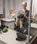 Иван Кошель: 2 день финала ЧВТ завершился
