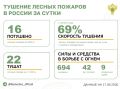 За прошедшие сутки в 10 регионах России потушили 16 лесных пожара