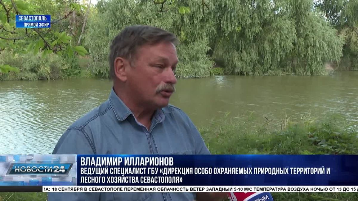 Количество лесных пожаров растёт в Севастополе