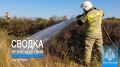 #ЧТОВЧЕРАПРОИЗОШЛО. За минувшие сутки пожарно-спасательные подразделения ГУ МЧС России по Республике Крым реагировали на: 14 пожаров, из них: