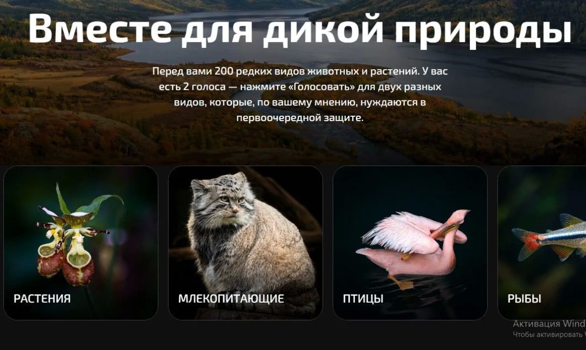 Крымчане могут принять участие в голосовании «Вместе для дикой природы»
