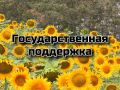 ВНИМАНИЕ! СТАРТОВАЛ ПРИЕМ ДОКУМЕНТОВ НА ГРАНТЫ ДЛЯ МАЛОГО АГРОБИЗНЕСА КРЫМА