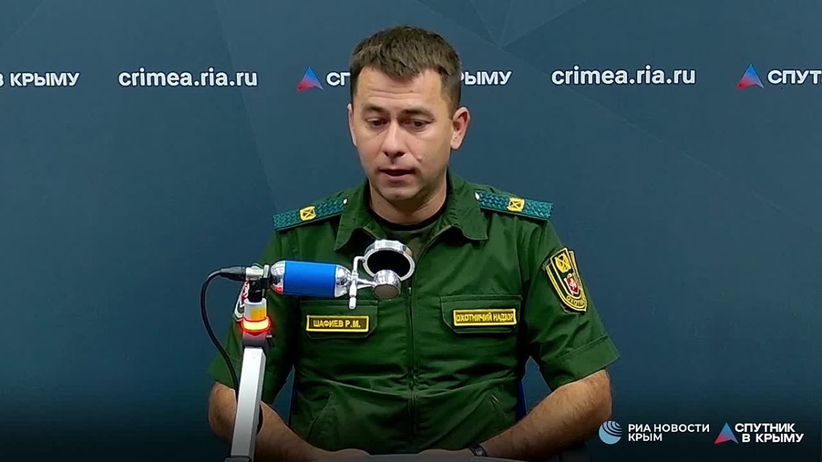 Сезон охоты в Крыму идет полным ходом: за серой куропаткой приезжают даже из других регионов РФ