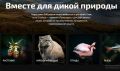 Крымчане могут принять участие в голосовании «Вместе для дикой природы»