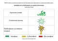 18 сентября комфортность Евпаторийского курорта, по данным ГБУЗ РК «Научно-исследовательского института детской курортологии, физиотерапии и медицинской реабилитации», составляет:
