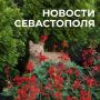 Михаил Развожаев: Коротко о главном:. Наши военные за минувшие сутки нейтрализовали один вражеский беспилотник