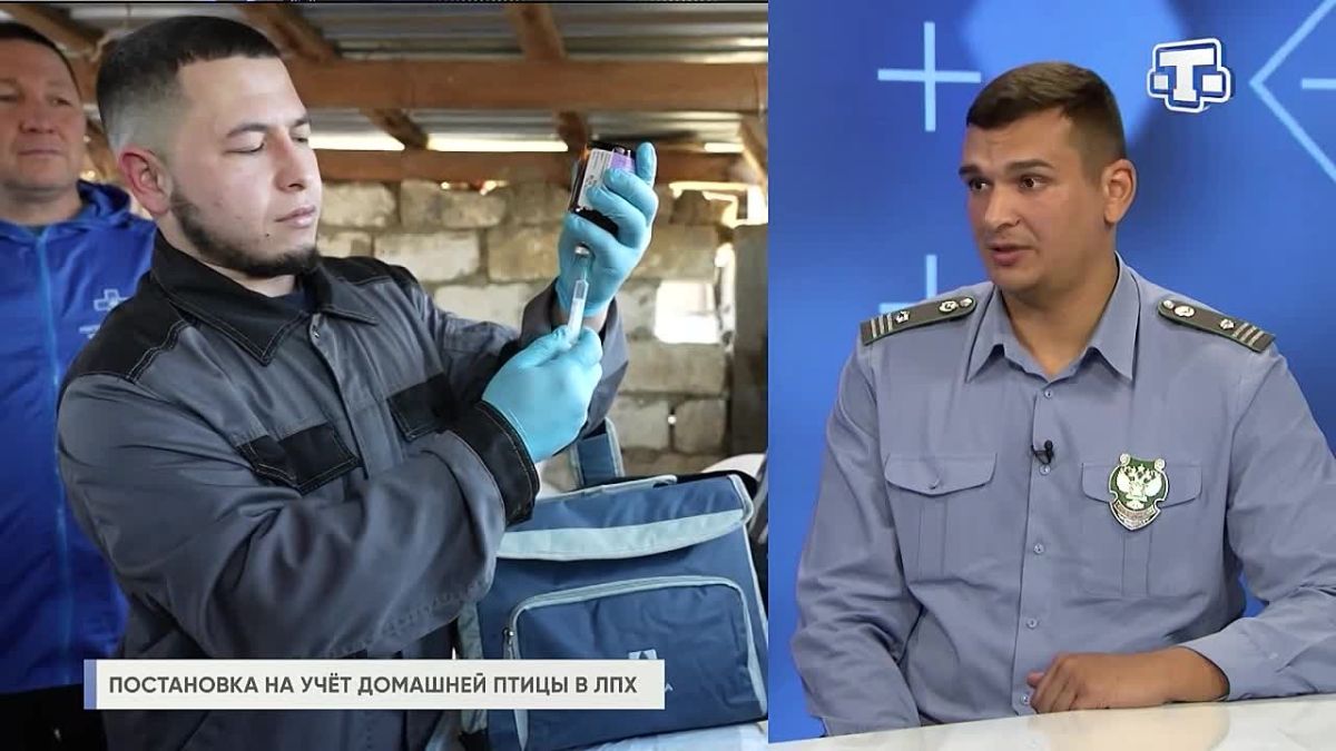 В Крыму начнут усиленный контроль за незарегистрированными хозяйствами с домашней птицей