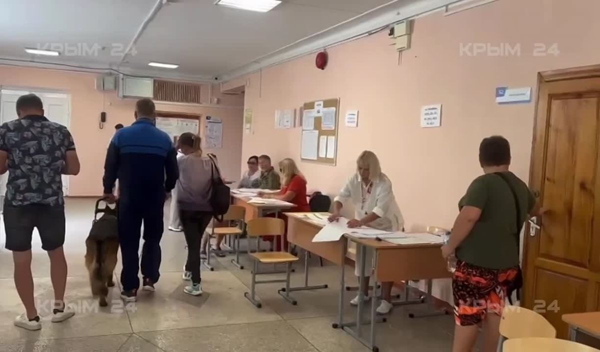 В Севастополе на всех участках работают более 200 волонтёров в дни выборов в Госдуму Добровольцы помогали людям с ограниченными возможностями добраться до необходимого пункта