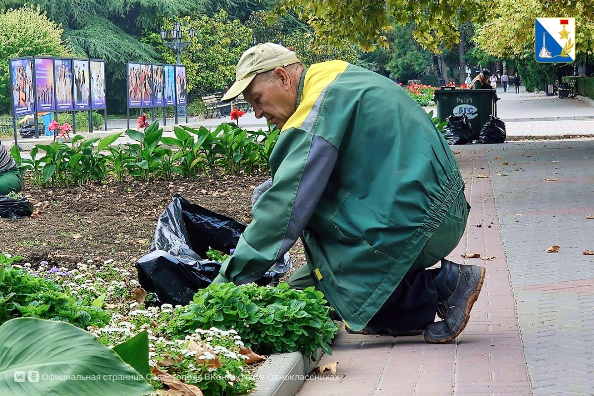 Весенние цветы скоро высадят на клумбах Севастополя Весенние цветы скоро высадят на клумбах Севастополя
