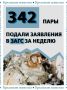 За прошедшую неделю в крымские ЗАГСы поступило 342 заявления о регистрации брака
