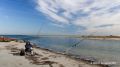 Высокая соленость Азовского моря у берегов Крыма меняет состав улова рыбы в сторону черноморских пород, включая хамсу, барабулю и кефаль, число которых ежегодно растет, сообщили ТАСС в ЮНЦ РАН