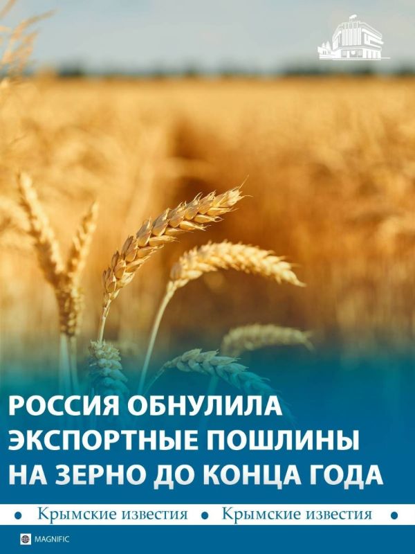 Правительство России обнулило пошлины на экспорт пшеницы, ячменя и кукурузы до конца года