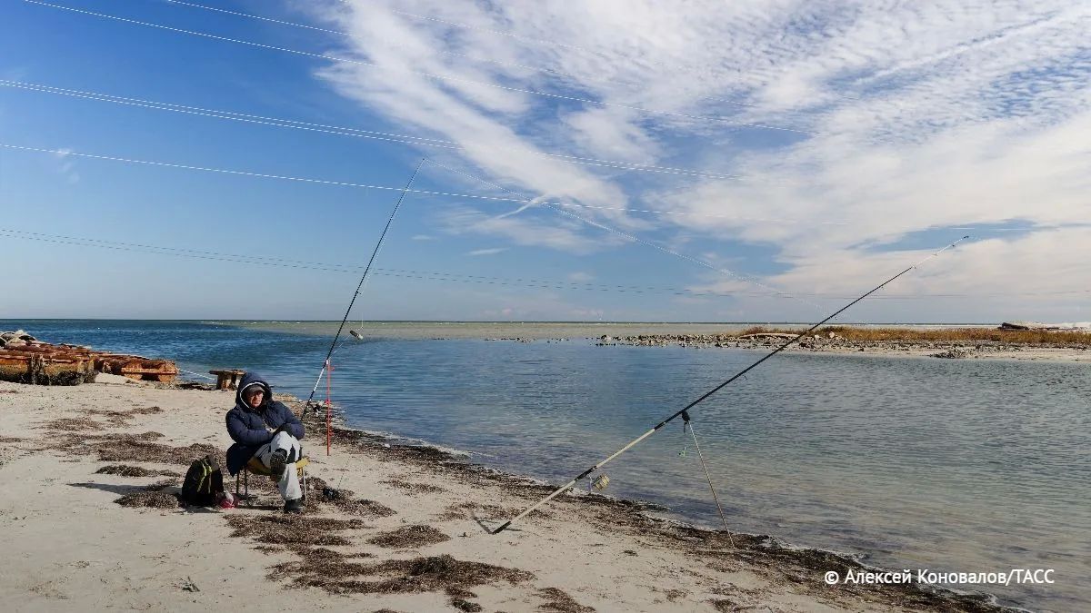 Высокая соленость Азовского моря у берегов Крыма меняет состав улова рыбы в сторону черноморских пород, включая хамсу, барабулю и кефаль, число которых ежегодно растет, сообщили ТАСС в ЮНЦ РАН