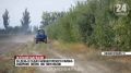 В садах Нижнегорского района до конца октября планируют собрать восемь тысяч тонн яблок