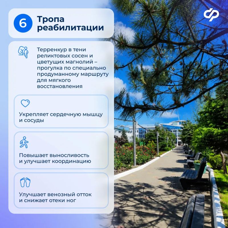 Оздоровление на берегу Черного моря Оздоровление на берегу Черного моря