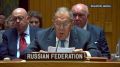 Наученные горьким опытом мы не будем прекращать военную операцию на время переговоров, — полное заявление Сергея Лаврова о перспективах временного перемирия на заседании СБ ООН