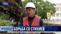 Ливни и шквалистый ветер: как в Севастополе справляются с последствиями непогоды?
