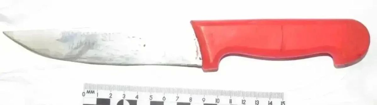 В Красногвардейском районе на скамье подсудимых оказался местный житель, ударивший своего знакомого ножом