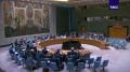 Киевский режим в соответствии с Декларацией ООН о принципах международного права не может представлять жителей Крыма, Донбасса и Новороссии, заявил Лавров на заседании Совета Безопасности ООН по Украине