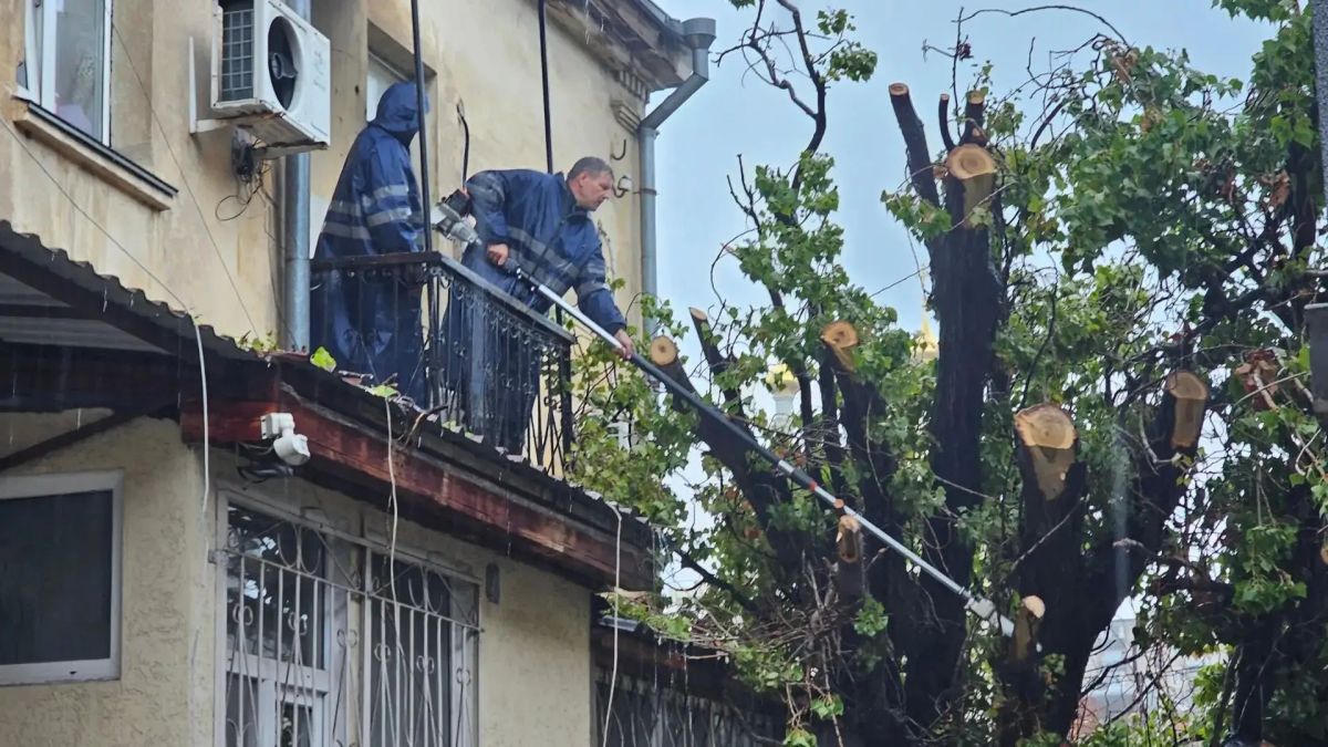 К 13:00 более 110 севастопольцев сообщили о неполадках из-за непогоды К 13:00 более 110 севастопольцев сообщили о неполадках из-за непогоды