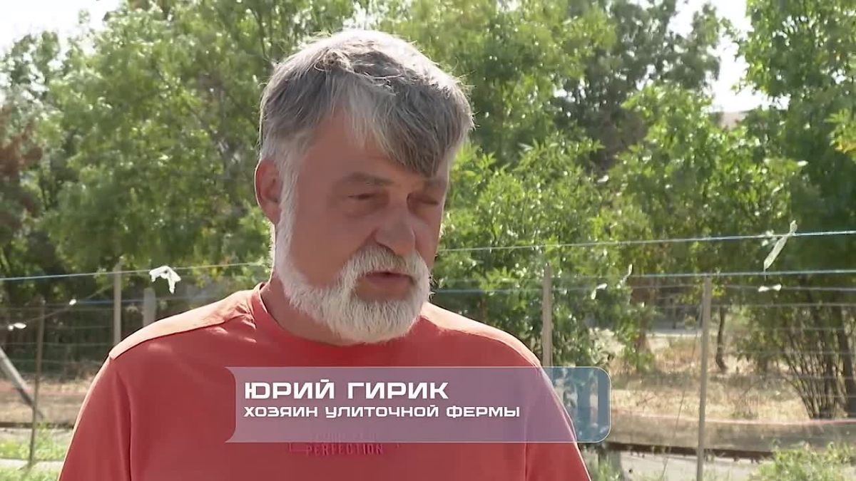 В Крыму запустили «Волну Поддержки» крымских предпринимателей и производителей