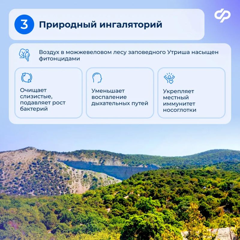 Оздоровление на берегу Черного моря Оздоровление на берегу Черного моря
