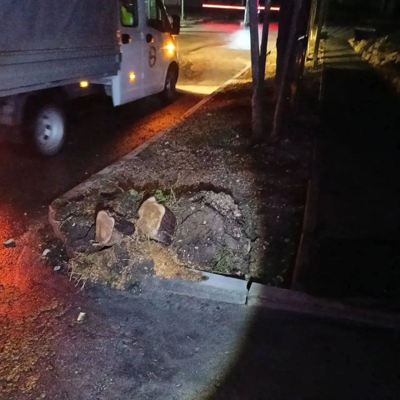 В Севастополе ликвидируют последствия вчерашнего шторма В Севастополе ликвидируют последствия вчерашнего шторма