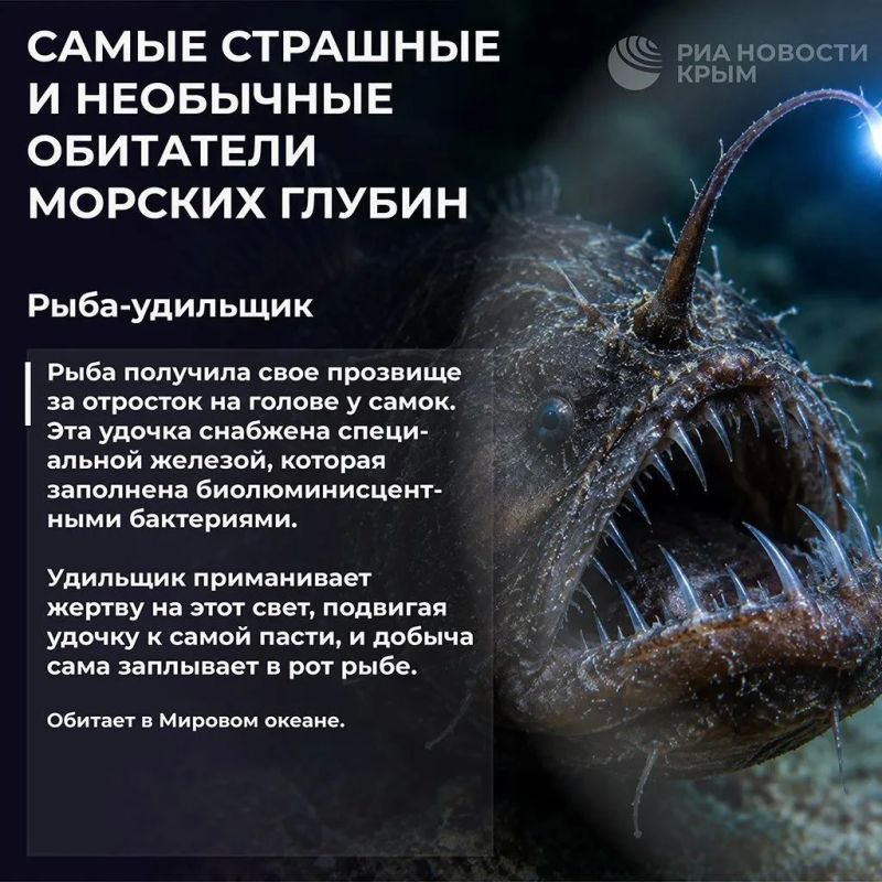 Бу, испугались? Не бойтесь