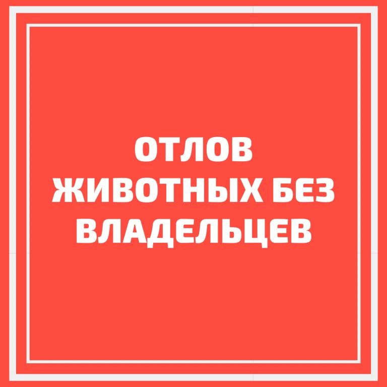 Уважаемые жители и гости города Армянска!