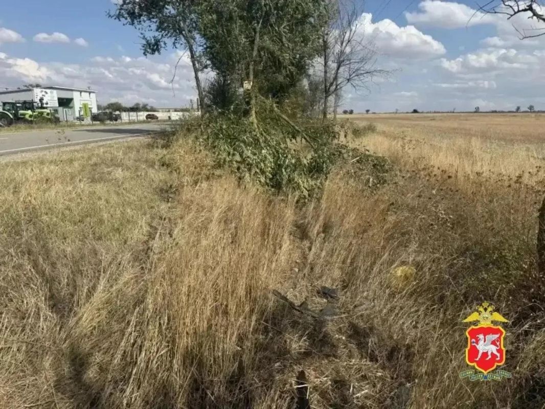 В Красногвардейском районе несовершеннолетний водитель на иномарке врезался в дерево