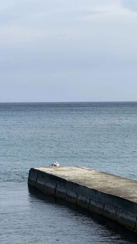 В последний четверг сентября ежегодно отмечается Всемирный день моря