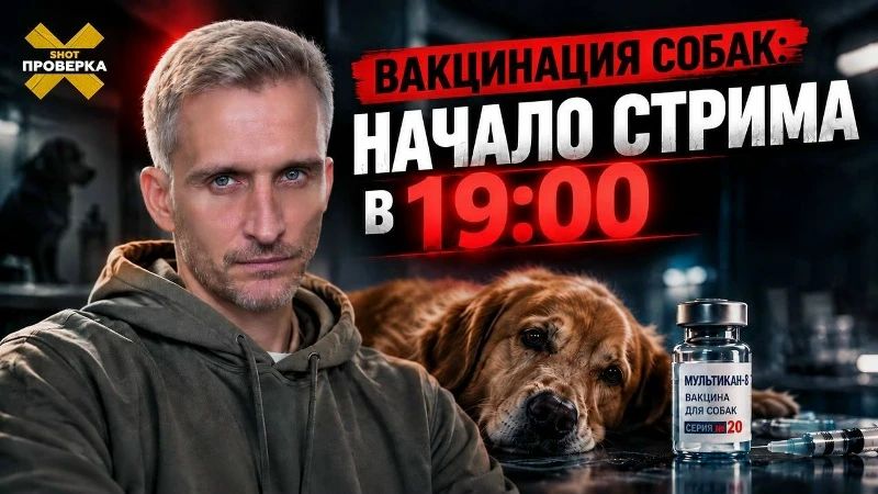 Вакцина от бешенства, которая убивает собак