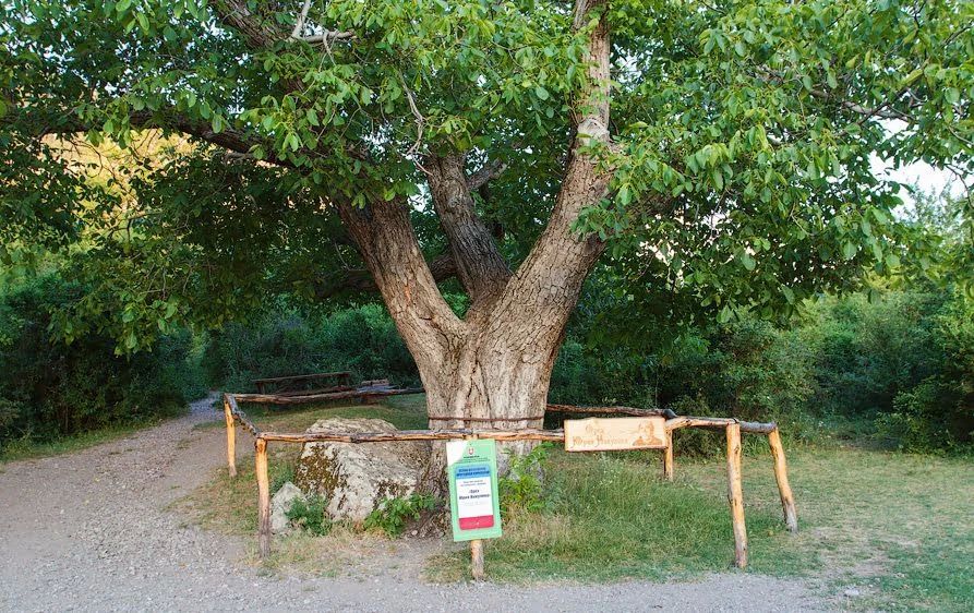 В мире часто встречаются несочетаемые (на первый взгляд) вещи В мире часто встречаются несочетаемые (на первый взгляд) вещи