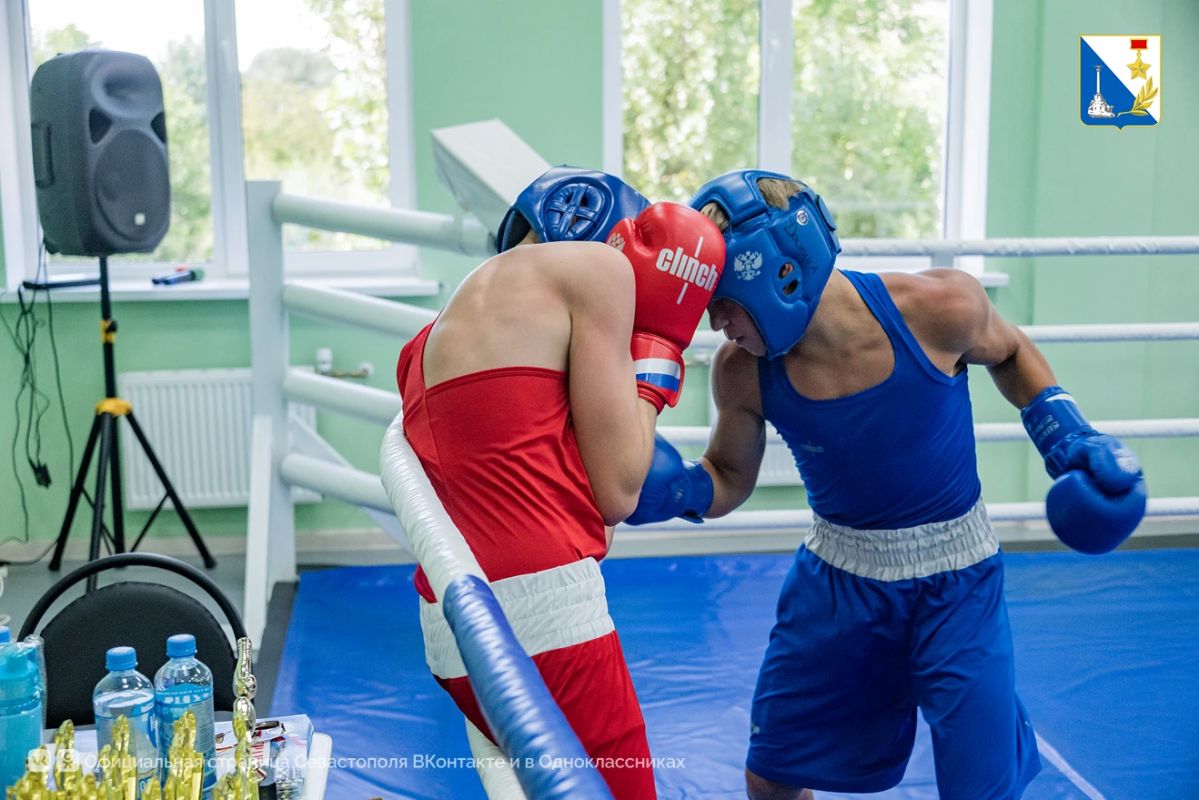 В Верхнесадовом прошёл турнир по боксу памяти Героя СВО Игоря Русанова В Верхнесадовом прошёл турнир по боксу памяти Героя СВО Игоря Русанова