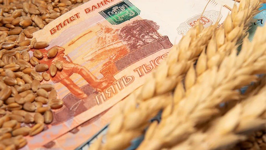 Мировые цены на пшеницу демонстрируют стремительный рост на фоне перебоев с поставками из Черноморского региона, пишет Reuters
