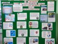 День Государственного герба и Государственного флага Республики Крым в Нижнегорском районе