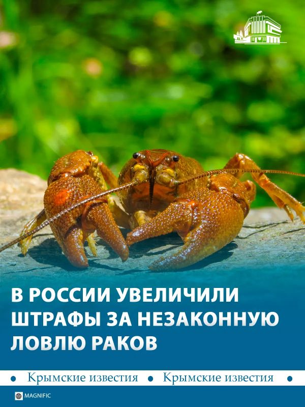 В России почти в 15 раз увеличили штрафы за незаконную ловлю раков